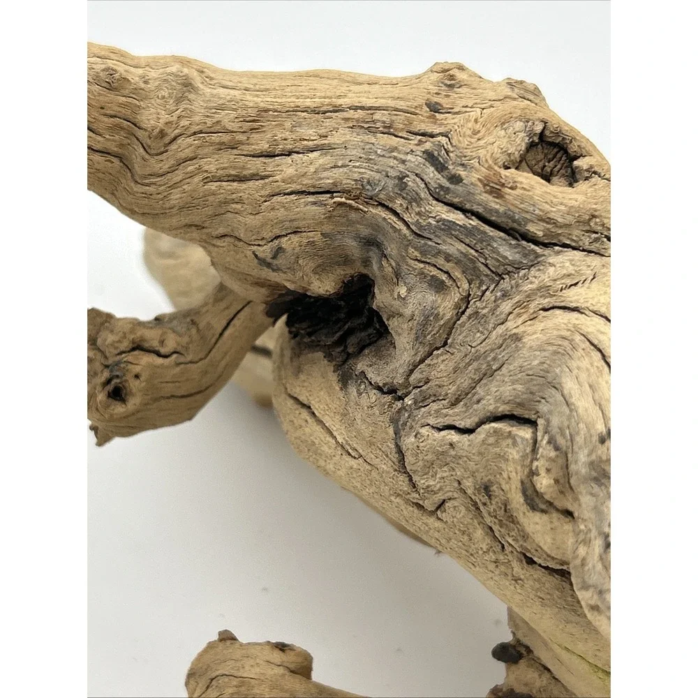 Nature Scapes Grapewood reptiles Or Airplants‎ 14x6 natural stump decor
